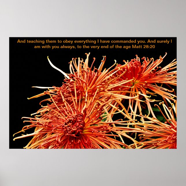 Teaching them to obey everything I have commanded Poster (Front)