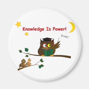 Teaching Wise Owl Magnet