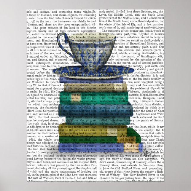 Teacup and Books Poster (Front)