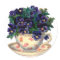 Teacup Flowers
