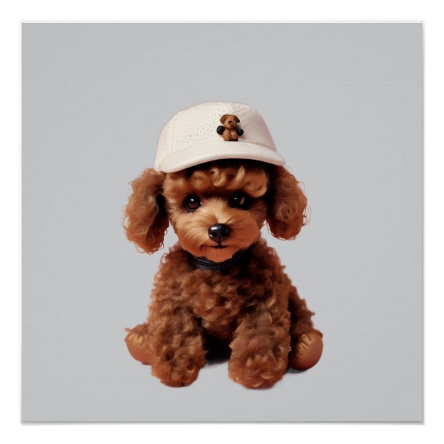 Teacup Poodle with Hat Poster (Front)