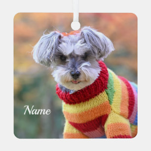 Teacup Schnauzer Puppy Dog in a Sweater Metal Tree Decoration