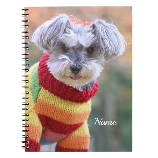 Teacup Schnauzer Puppy Dog in a Sweater Notebook (Front)