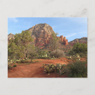 Teacup Trail I Postcard