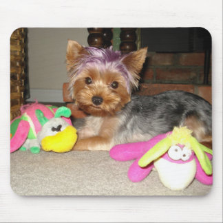 Teacup Yorkie Purple Princess  Mouse Mat