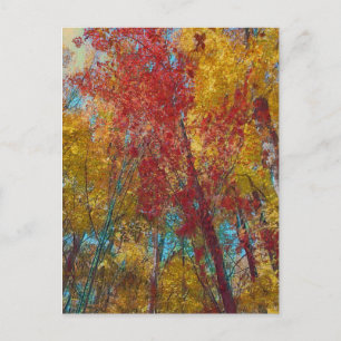 Teal and Gold Trees Postcard