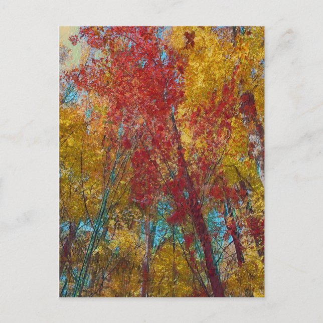 Teal and Gold Trees Postcard (Front)
