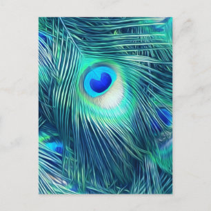 Teal Aquamarine Peacock Feather Postcard
