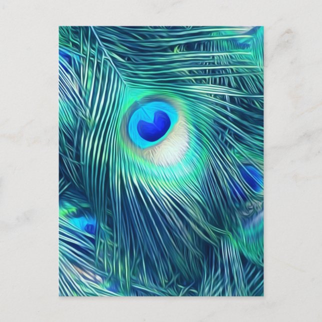 Teal Aquamarine Peacock Feather Postcard (Front)