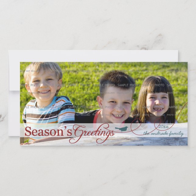 Teal Bird on Swirl Holiday Photo Card (Front)