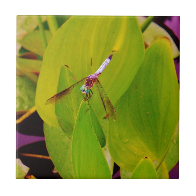 Teal Blue Dragonfly on Green Leaf. Tile (Front)
