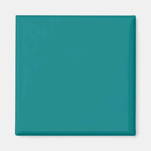Teal Blue Turquoise Aqua Solid Colour Background Magnet (Front)