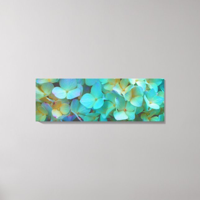 Teal blue yellow pink hydrangeas flowers floral canvas print (Front)