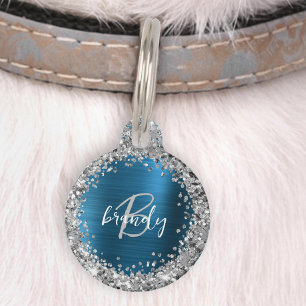 Teal Brushed Metal Silver Glitter Monogram  Pet Tag