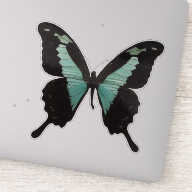 Teal Butterfly (Detail)