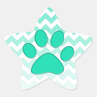 Teal Chevron Paw Zig Zag Monogram Star Sticker