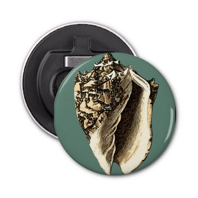 Teal Conch Shell Bottle Opener (Front)