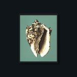 Teal Conch Shell Canvas Print<br><div class="desc">In this beautiful,  classic black and white conch shell,  you can see the shading of a natural seashell very sharp and clear.  You can image yourself at the beach hunting for shells or playing in the sand. Get this nautical styled teal conch shell art on your favourite products today!</div>