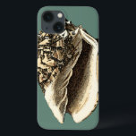 Teal Conch Shell iPhone 13 Case<br><div class="desc">In this beautiful,  classic black and white conch shell,  you can see the shading of a natural seashell very sharp and clear.  You can image yourself at the beach hunting for shells or playing in the sand. Get this nautical styled teal conch shell art on your favourite products today!</div>