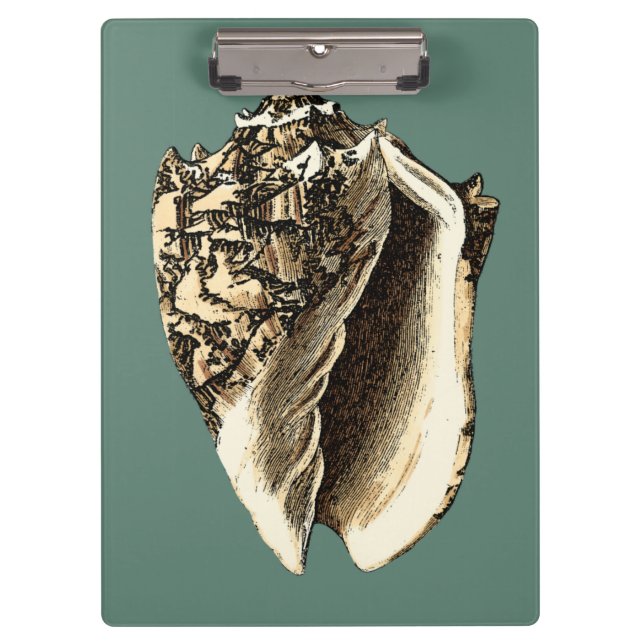 Teal Conch Shell Clipboard (Front)