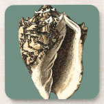 Teal Conch Shell Coaster<br><div class="desc">In this beautiful,  classic black and white conch shell,  you can see the shading of a natural seashell very sharp and clear.  You can image yourself at the beach hunting for shells or playing in the sand. Get this nautical styled teal conch shell art on your favourite products today!</div>