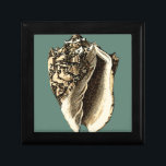 Teal Conch Shell Gift Box<br><div class="desc">In this beautiful,  classic black and white conch shell,  you can see the shading of a natural seashell very sharp and clear.  You can image yourself at the beach hunting for shells or playing in the sand. Get this nautical styled teal conch shell art on your favourite products today!</div>
