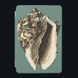 Teal Conch Shell iPad Mini Cover<br><div class="desc">In this beautiful,  classic black and white conch shell,  you can see the shading of a natural seashell very sharp and clear.  You can image yourself at the beach hunting for shells or playing in the sand. Get this nautical styled teal conch shell art on your favourite products today!</div>