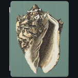 Teal Conch Shell iPad Smart Cover<br><div class="desc">In this beautiful,  classic black and white conch shell,  you can see the shading of a natural seashell very sharp and clear.  You can image yourself at the beach hunting for shells or playing in the sand. Get this nautical styled teal conch shell art on your favourite products today!</div>