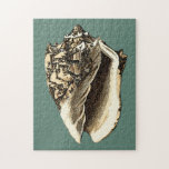 Teal Conch Shell Jigsaw Puzzle<br><div class="desc">In this beautiful,  classic black and white conch shell,  you can see the shading of a natural seashell very sharp and clear.  You can image yourself at the beach hunting for shells or playing in the sand. Get this nautical styled teal conch shell art on your favourite products today!</div>