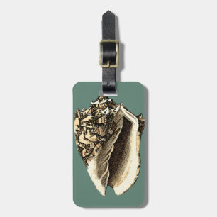 Teal Conch Shell Luggage Tag