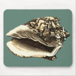 Teal Conch Shell Mouse Mat<br><div class="desc">In this beautiful,  classic black and white conch shell,  you can see the shading of a natural seashell very sharp and clear.  You can image yourself at the beach hunting for shells or playing in the sand. Get this nautical styled teal conch shell art on your favourite products today!</div>