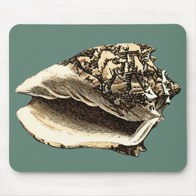 Teal Conch Shell Mouse Mat (Front)