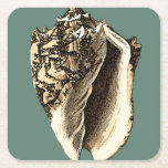 Teal Conch Shell Square Paper Coaster<br><div class="desc">In this beautiful,  classic black and white conch shell,  you can see the shading of a natural seashell very sharp and clear.  You can image yourself at the beach hunting for shells or playing in the sand. Get this nautical styled teal conch shell art on your favourite products today!</div>