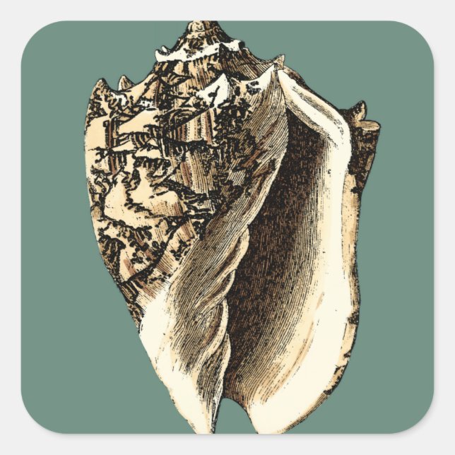 Teal Conch Shell Square Sticker (Front)