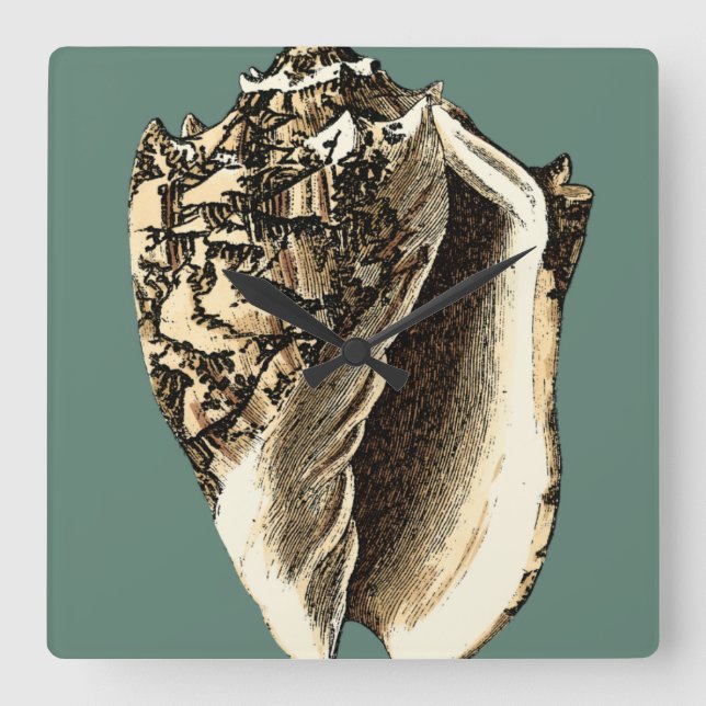 Teal Conch Shell Square Wall Clock (Front)