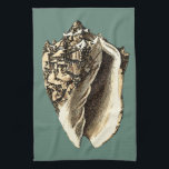 Teal Conch Shell Tea Towel<br><div class="desc">In this beautiful,  classic black and white conch shell,  you can see the shading of a natural seashell very sharp and clear.  You can image yourself at the beach hunting for shells or playing in the sand. Get this nautical styled teal conch shell art on your favourite products today!</div>