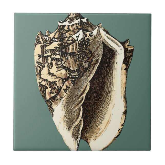 Teal Conch Shell Tile (Front)