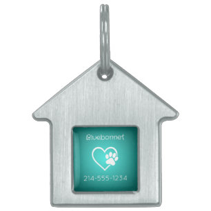 Teal Dog ID Tag Name & Phone