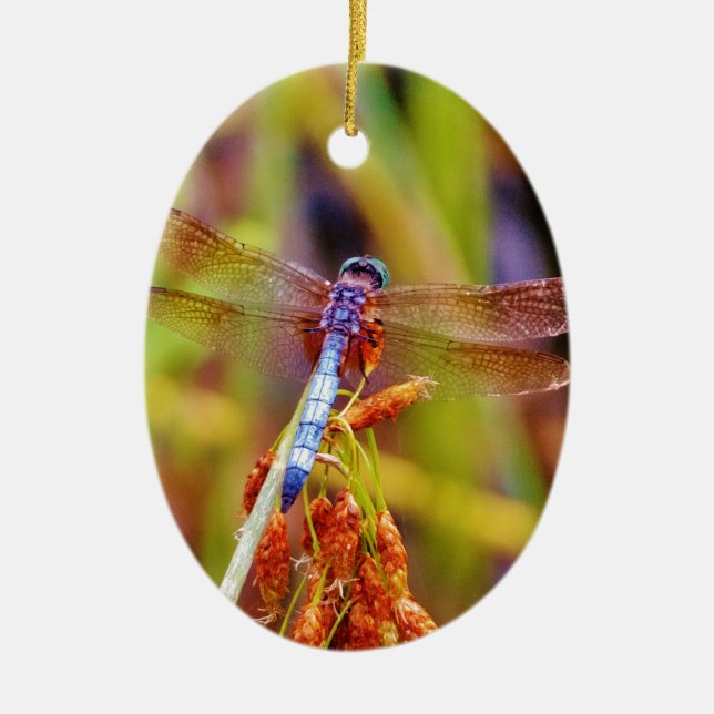Teal Dragonfly on sedge Ceramic Tree Decoration (Front)