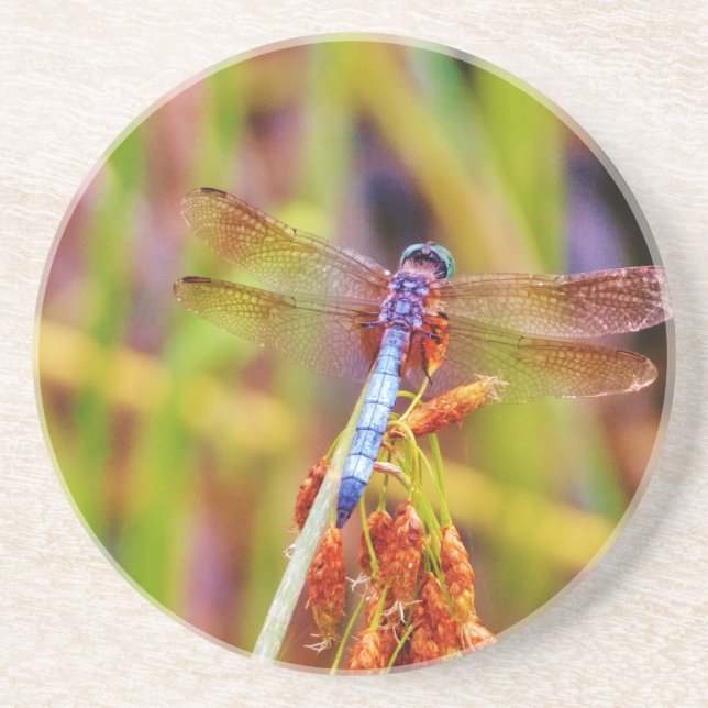 Teal Dragonfly on sedge Coaster (Front)