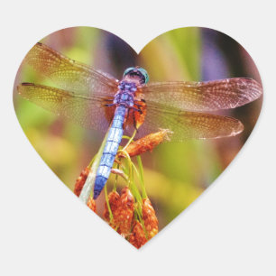 Teal Dragonfly on sedge Heart Sticker