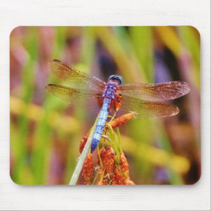 Teal Dragonfly on sedge Mouse Mat
