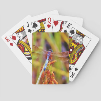 Teal Dragonfly on sedge Playing Cards