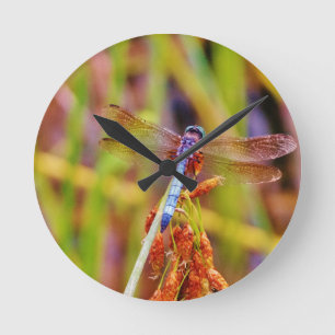 Teal Dragonfly on sedge Round Clock