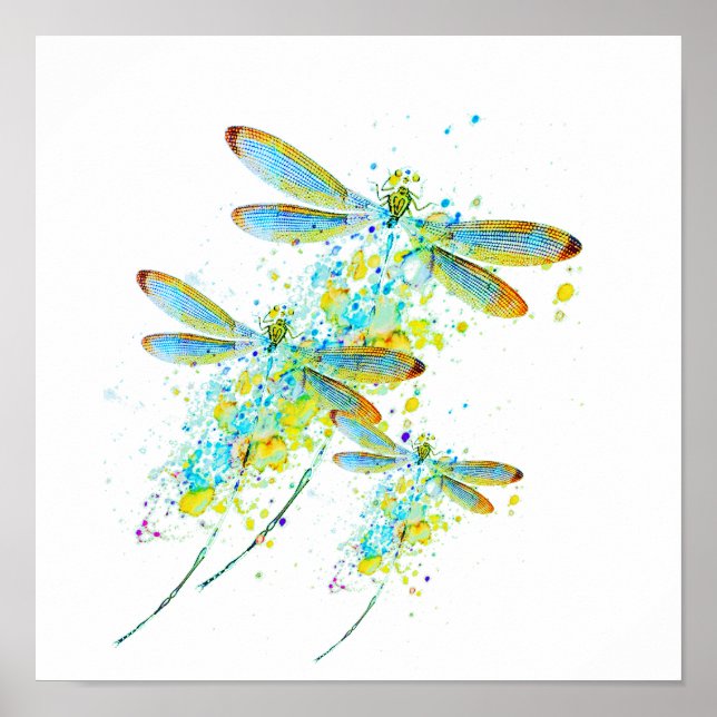 Teal Dragonfly splatter   Poster (Front)