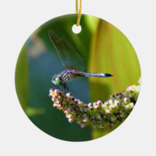 Teal eyed Dragonfly Ceramic Tree Decoration