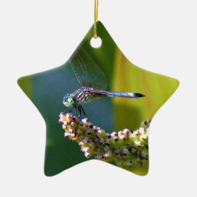 Teal eyed Dragonfly Ceramic Tree Decoration (Front)