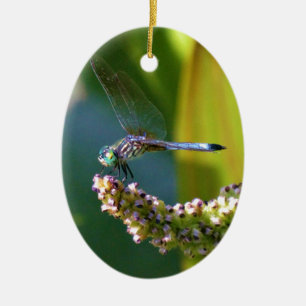 Teal eyed Dragonfly Ceramic Tree Decoration