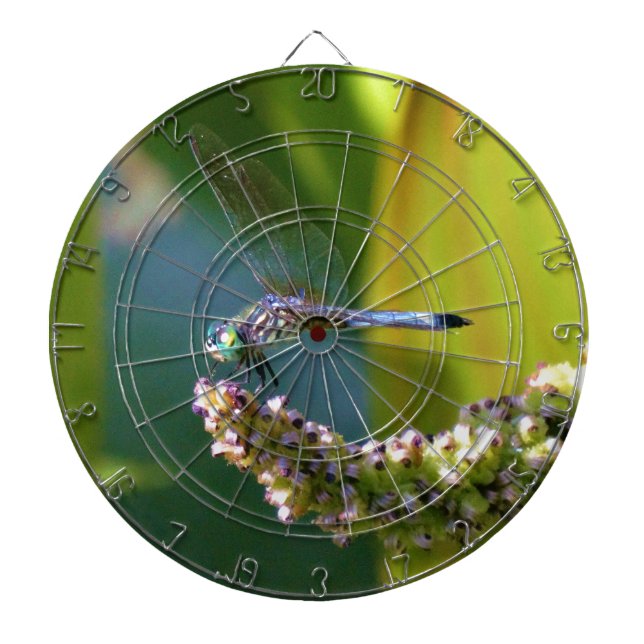 Teal eyed Dragonfly Dartboard (Front)