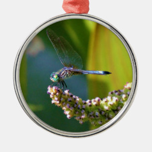 Teal eyed Dragonfly Metal Tree Decoration